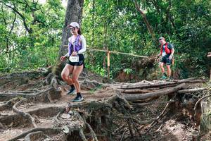 BIB: 
                            <button type="button" onclick="openModal(27718548)" class="btn btn-primary btn-sm float-right btn-popup" data-toggle="modal" data-target=".modal-high-quality">
                        <i class="fas fa-shopping-cart"></i> Add to Cart
                    </button>
                                            <button type="button" onclick="isThisMe(27718548, true)" class="btn btn-success btn-sm float-right btn-popup btn-isme hidden" data-toggle="tooltip" data-placement="bottom" title="นี่คือรูปของคุณใช่ไหม คลิกที่นี่เพื่อเอาเข้าอัลบั้ม">
                        <i class="fas fa-plus"></i> Add to album
                    </button>
                    <button type="button" onclick="isThisMe(27718548, false)" class="btn btn-warning btn-sm float-right btn-popup btn-isnotme hidden">
                        <i class="fas fa-ban"></i> Remove from album
                    </button>